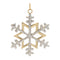 Melrose Jeweled Metal Snowflake Ornament (Set of 2)