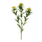 Melrose Green Thistle Floral Spray (Set of 6)