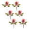Melrose Blush Pink Dahlia Flower Stem (Set of 6)
