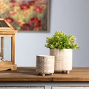 Melrose Footed Stone Planter Set of 2 Planter, Dolomite