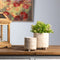 Melrose Footed Stone Planter Set of 2 Planter, Dolomite