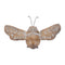 Melrose Floral Etched Insect Shelf Sitter (Set of 4)
