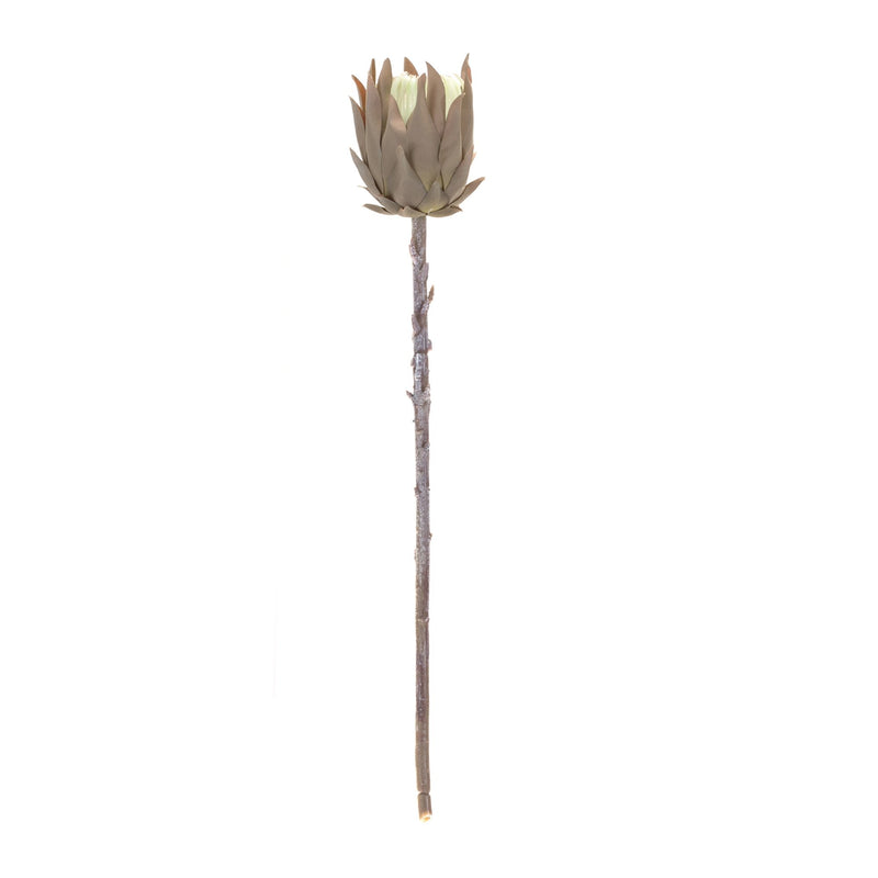 Melrose Beige Protea Stem (Set of 6)
