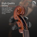Stentor 4-String 4/4 Violin w/ Red Case (1500 4/4) - New Open Box