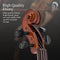 Stentor 4-String 4/4 Violin w/ Red Case (1500 4/4) - New Open Box