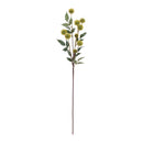 Melrose Green Faux Pod Branches (Set of 6)