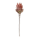 Melrose Orange Protea Flower Stem (Set of 2)