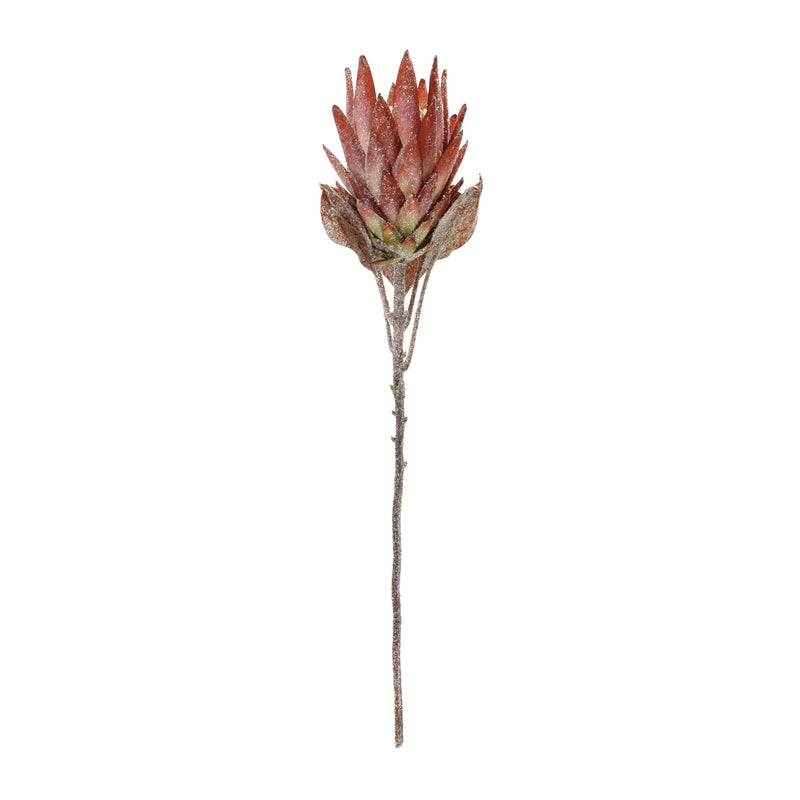 Melrose Orange Protea Flower Stem (Set of 2)