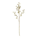 Melrose Winter Berry Pod Spray (Set of 6)