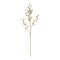 Melrose Winter Berry Pod Spray (Set of 6)
