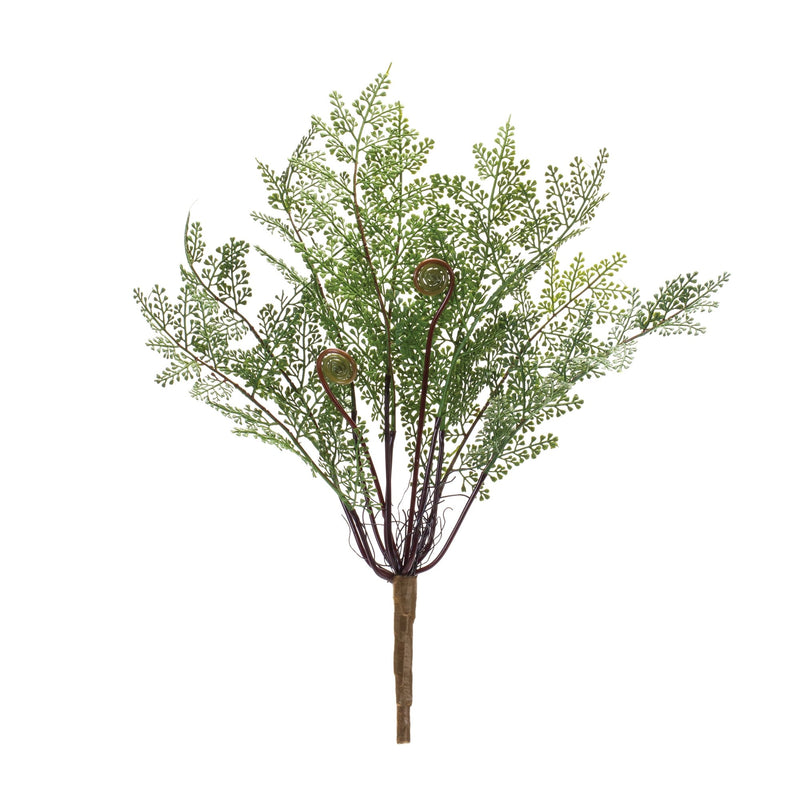 Melrose Fern Bush (Set of 2)