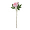 Melrose Peony Floral Spray (Set of 6)
