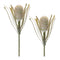 Melrose Protea Floral Stem (Set of 2)