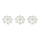 Melrose Embroidered Snowflake Doily (Set of 3)
