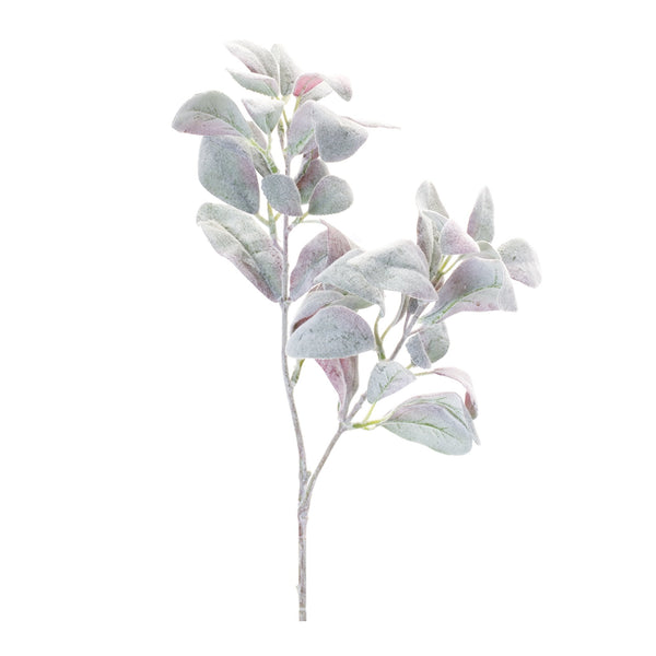 Melrose Lamb's Ear Leaf Bush (Set of 6)