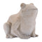 Melrose Resin Frog 6"H