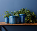 Melrose Blue Etched Terra Cotta Pot Planter Set of 3 Planter