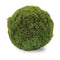 Melrose Faux Moss Orb (Set of 2)
