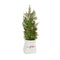 Melrose Mini Pine Tree with Berries in Ceramic Pot (Set of 2)