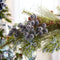 Melrose Beaded Berry Spray (Set of 6)