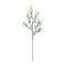 Melrose Olive Leaf Twig Branch (Set of 2)