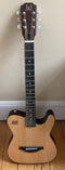 James Neligan Solid Body Cutaway Electric Folk Guitar - New Open Box