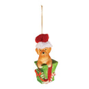 Melrose Puppy in Package Ornament (Set of 6)