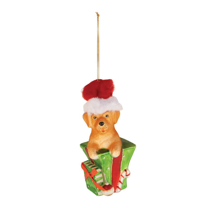 Melrose Puppy in Package Ornament (Set of 6)
