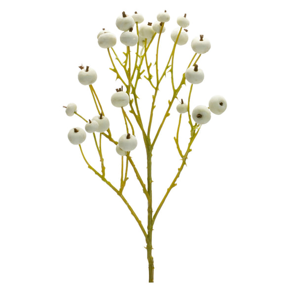 Melrose White Berry Spray (Set of 6)