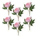 Melrose Peony Floral Spray (Set of 6)