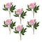 Melrose Peony Floral Spray (Set of 6)