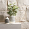 Melrose Bubbled Ceramic Bud Vase (Set of 4)