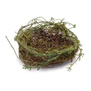 Melrose Twig Bird Nest with Moss (Set of 6)