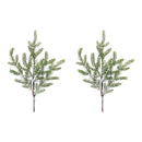 Melrose Pine Spray (Set of 2)