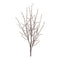 Melrose Birch Twig Branch (Set of 6)