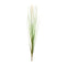 Melrose Foxtail Bush (Set of 12)