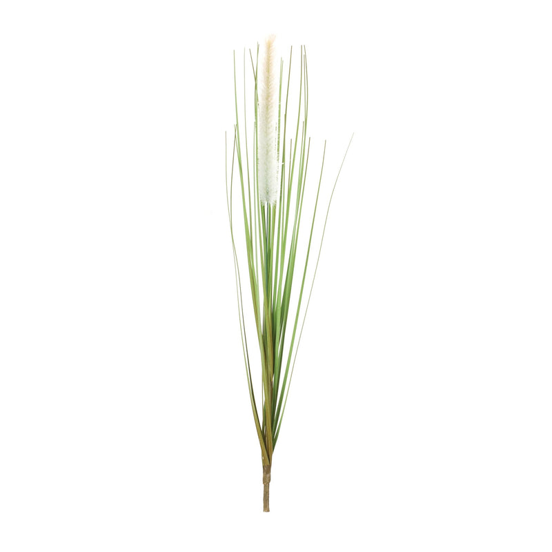 Melrose Foxtail Bush (Set of 12)