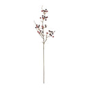 Melrose Berry Pod Spray (Set of 6)