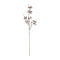 Melrose Berry Pod Spray (Set of 6)
