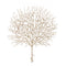Melrose Glittered Twig Spray (Set of 6)