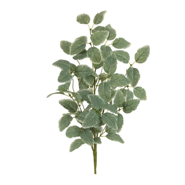 Melrose Variegated Foliage Spray (Set of 2)