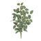 Melrose Variegated Foliage Spray (Set of 2)