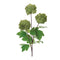 Melrose Snowball Floral Spray (Set of 6)