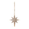 Champagne Northern Star Ornament (Set of 12)