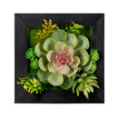 Melrose Hanging Succulent Box Wall Decor, Plastic