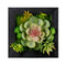 Melrose Hanging Succulent Box Wall Decor, Plastic