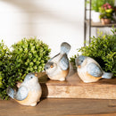 Melrose Ceramic Bird Figurines with Unglazed Accents (Set of 3) Multicolor