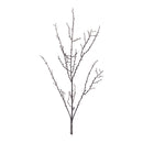 Melrose Birch Twig Branch (Set of 6)