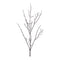 Melrose Birch Twig Branch (Set of 6)