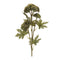 Melrose Sedum Succulent Spray (Set of 6)